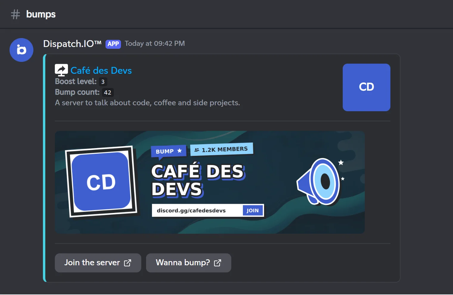 Presentation of a server posted by /bump in another server