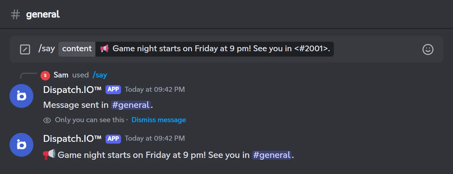 Message posted with /say and its confirmation