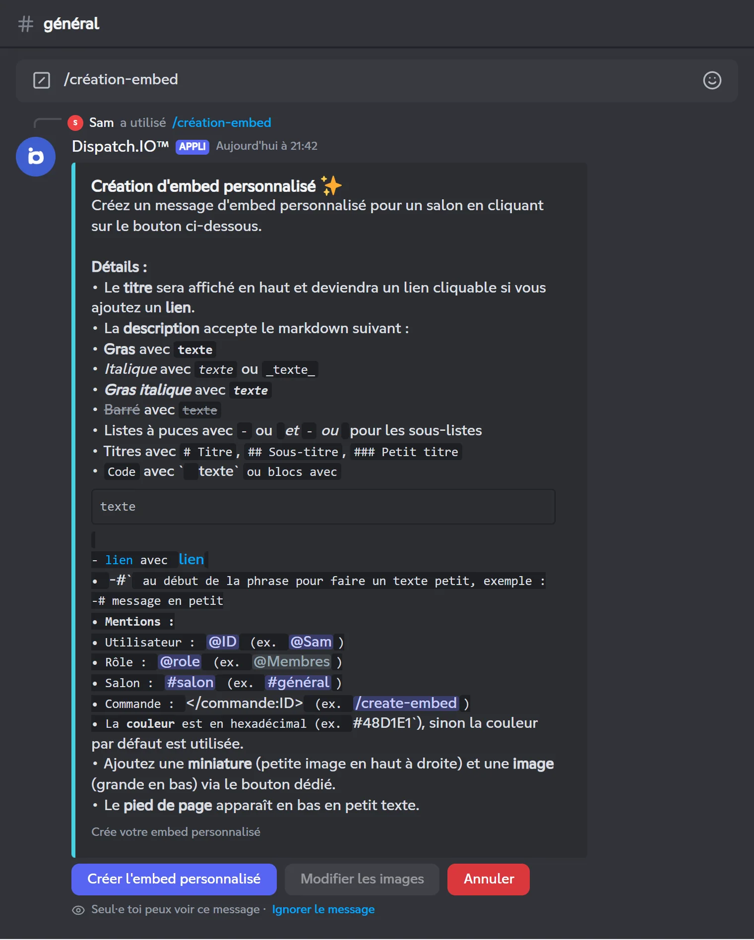Premier écran de /create-embed avec les instructions