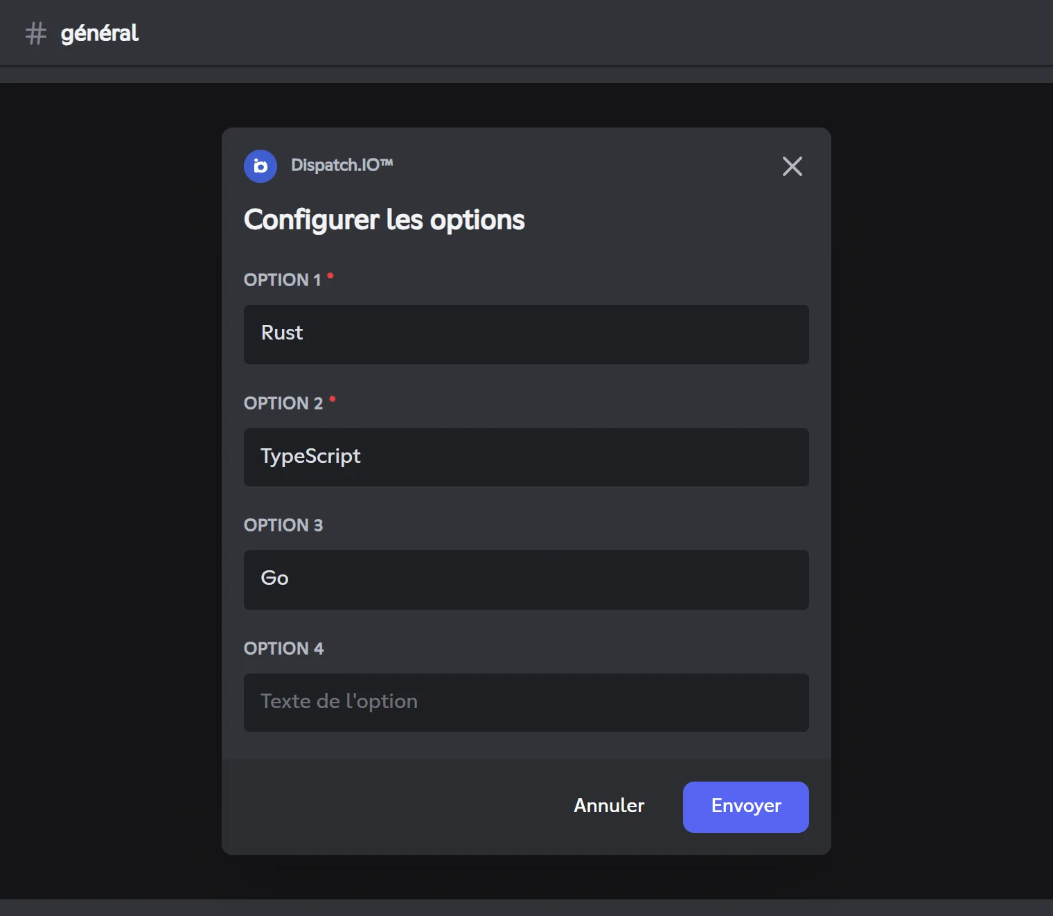 Les options 1 et 2 sont obligatoires, les options 3 et 4 facultatives. Fenêtre Configurer les options avec trois choix remplis