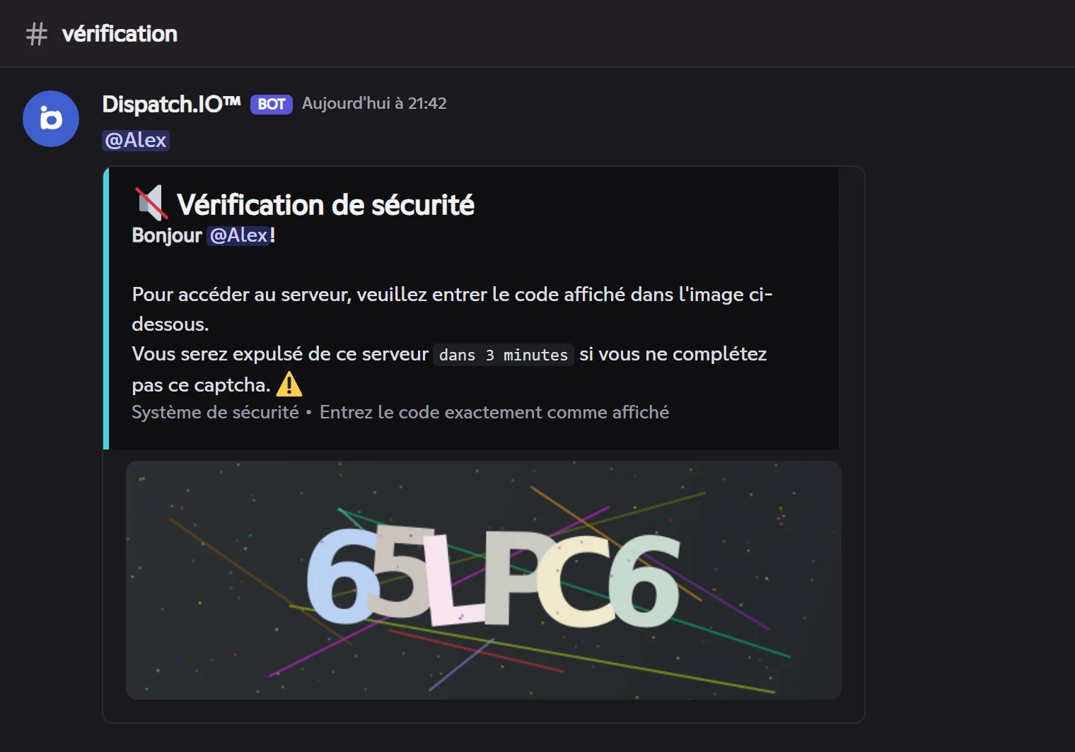 Le message publié dans le salon captcha à l'arrivée d'un membre. Message du captcha : image du code à taper, mention du membre et délai